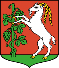 Miasto na prawach powiatu: Lublin - herb