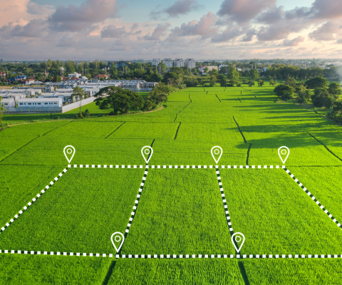 Scalanie i wymiana gruntów - bezpłatne szkolenie, 5 października 2023 r., online
