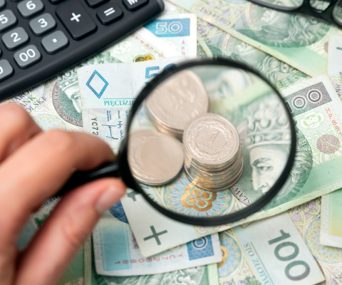 Szkolenie online: Kontrola przez PUP przyznanych form pomocy i wydatkowania środków Funduszu Pracy, 25 czerwca 2025 r.