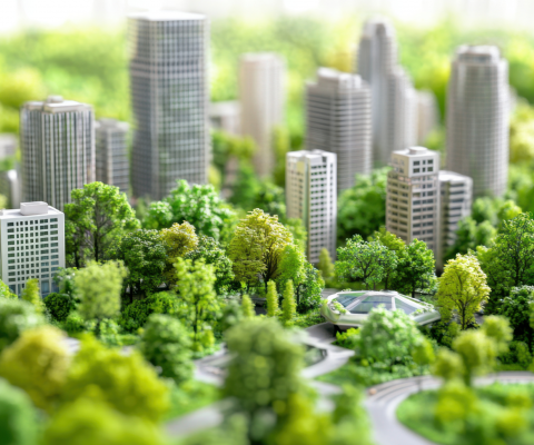 Szkolenie online: Miejski Plan Adaptacji do zmian klimatu, 23 września 2025 r.