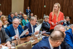 XXV Zgromadzenie Ogólne ZPP - obrady plenarne, Warszawa, 3 kwietnia 2019 r.: 501